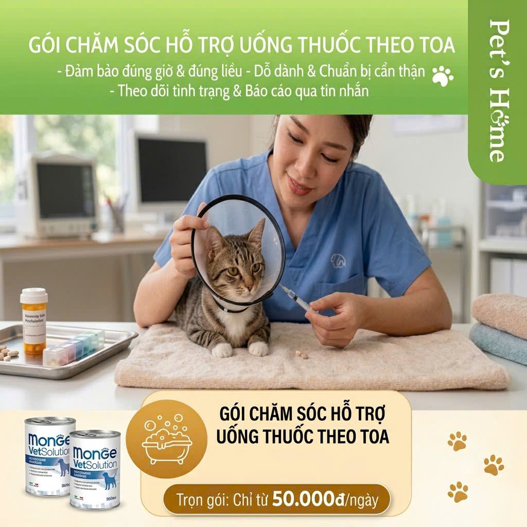 Cho uống thuốc theo toa