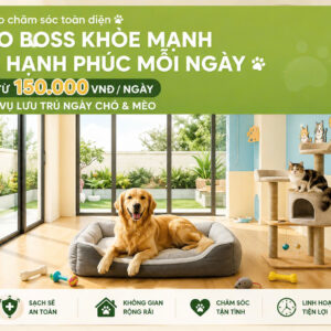 Lưu trú ban ngày
