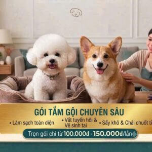 Tắm gội chuyên sâu toàn diện