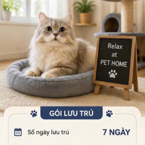 Lưu trú 7 ngày
