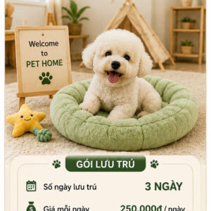 Lưu trú 3 ngày