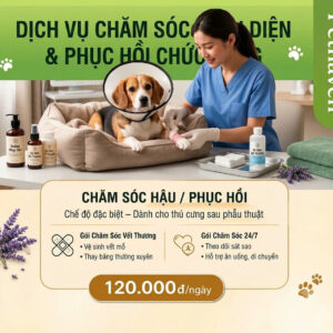 Chăm sóc hậu / phục hồi