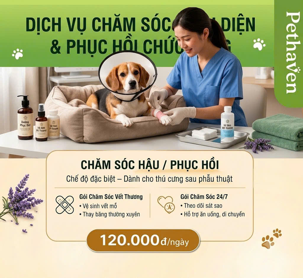 Chăm sóc hậu / phục hồi